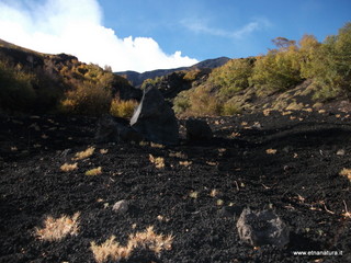 llone monte Zappinazzo-04-11-2012 09-58-36